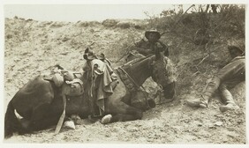Tired man & horse. This man, Nicholls of Leichhardt, Sydney, was killed 2 hours after the photo was taken, by a bomb dropped from one of 17 Turkish aeroplanes, on 2nd May, Es Salt stunt  by J.F. Smith of the 7th Light Horse in Egypt and Palestine, c. 1914
