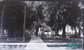 CAL15535.JPG