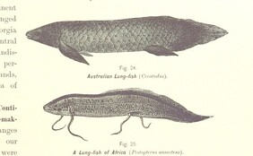British Library digitised image from page 35 of "Gately's World's Progress. A general history of the earth's construction and of the advancement of mankind ... Edited by C. E. Beale. Ã‰dition de luxe"