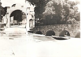 Image (1)