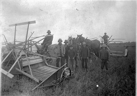 Harvest Time near Beaumont, Alberta