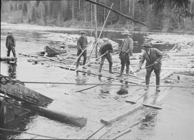 Kulutusosuuskuntien Keskusliiton kokoelma D1974_33_7596C