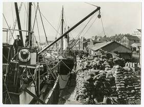 Loading sacks of potatoes onto the "Laranah", Queen's Wharf, Launceston. Monds Flour Mill in background. Spurling & Son photo.