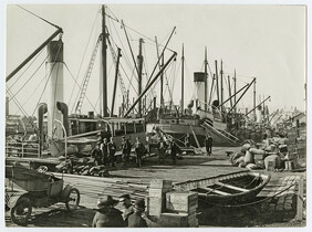 Loading steamers, including the "Laranah", Queen's Wharf, Launceston. Spurling & Son photo.