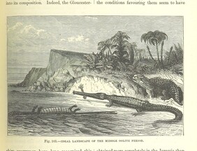 British Library digitised image from page 571 of "Our Earth and its Story: a popular treatise on physical geography. Edited by R. Brown. With ... coloured plates and maps, etc"
