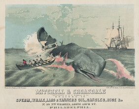 Mitchell & Croasdale, successors to G.W. Ridgway & Co., dealers in sperm, whale, lard, & tanners oil, candles, rice, &c. No. 30 n[or]th wharves, above Arch St. Philadelphia, [1856]