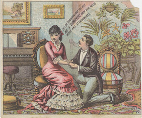 Domestic Sewing Machine Co.