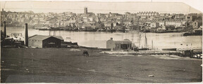 Sydney from Pyrmont