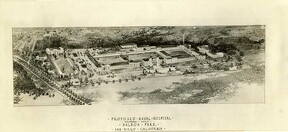 REEVE 0035163