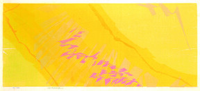Gravura 7103 Autor: Fayga Ostrower Ano: 1971 TÃ©cnica: Xilogravura (16/50) DimensÃ£o: 30cm x 60cm