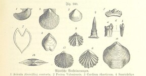 British Library digitised image from page 671 of "Unser Wissen von der Erde. Allgemeine Erdkunde und LÃ¤nderkunde, herausgegeben unter fachmÃ¤nnischer Mitwirkung von A. Kirchhoff"
