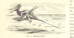 British Library digitised image from page 35 of "Gately's World's Progress. A general history of the earth's construction and of the advancement of mankind ... Edited by C. E. Beale. Ã‰dition de luxe"