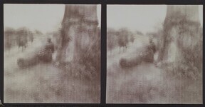 A big tree on the side of the road that leads to Madji Msuri in December 1909.