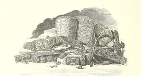 British Library digitised image from page 68 of "Az OsztrÃ¡k-Magyar Monarchia irÃ¡sban Ã©s kÃ©pben. Rudolf trÃ³nÃ¶rÃ¶kÃ¶s fÅ‘herczeg Å ... fensÃ©ge kezdemÃ©nyezÃ©sÃ©bÅ‘l Ã©s kÃ¶zremunkÃ¡lÃ¡sÃ¡val. (Die deutsche Ausgabe redigirt ... J. von Weilen, die ungarische M. JÃ³kai.) H