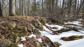 Mazinaw Tramway - Gilmour Logging Built 1850s