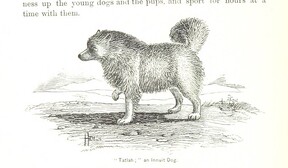 British Library digitised image from page 492 of "Our Arctic Province. Alaska and the Seal Islands ... Illustrated by ... drawings ... and maps"