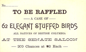 [Ticket for raffle of 62 elegant stuffed birds at the Senate Saloon]