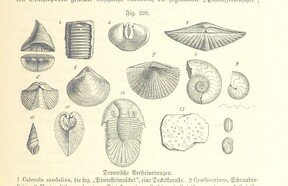 British Library digitised image from page 641 of "Unser Wissen von der Erde. Allgemeine Erdkunde und LÃ¤nderkunde, herausgegeben unter fachmÃ¤nnischer Mitwirkung von A. Kirchhoff"