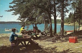 Salmond's Resort Postcard, Cloyne circa 1965