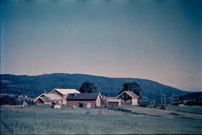 SÃ¸rkedalen