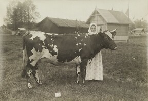 I.K Inha: Finnish Agriculture D2000_48_226