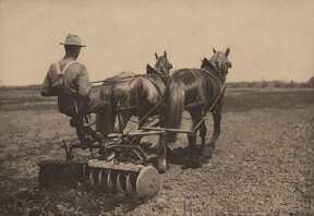 Discing field, date unknown