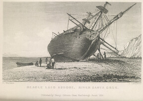 Narrative of the Surveying Voyages of His Majesty' - caption: 'Beagle laid ashore'