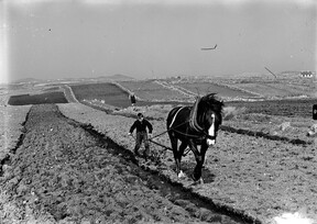 Ploughing the rocks of bawn