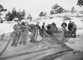 Kulutusosuuskuntien Keskusliiton kokoelma D1974_33_9891