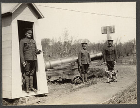 Sentries with old cannon