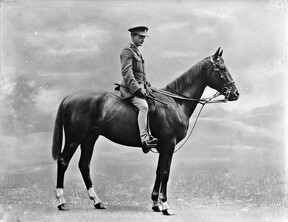 A fine set of fetlocks!