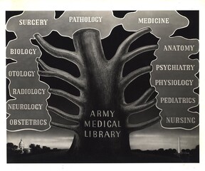 Tree of medical knowledge
