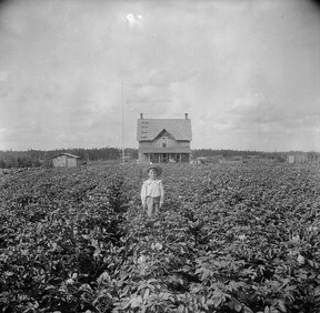 Brebner boy on the homestead