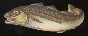 Preparacion De Wampole (Wampole's Preparation)