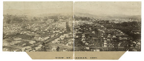 Panoramic view of Zeehan, Tasmania, 1897