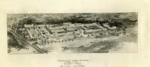 REEVE 0035163