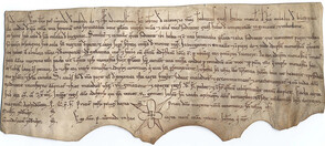 Grant of Petrus Veremudi