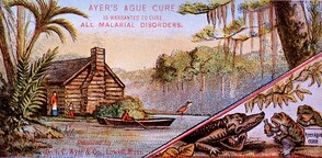 Ayer's Ague Cure: is warranted to cure all malarial disorders