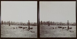 Prisoners cutting stone in the Nairobi plains in September 1910.