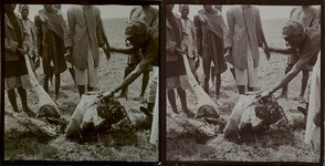 Men are chopping up a carcass on a study trip in Nairobi.