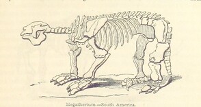 British Library digitised image from page 285 of "Advanced Text-book of Geology ... Second edition, ... enlarged"