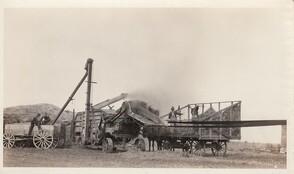 Threshing In Action