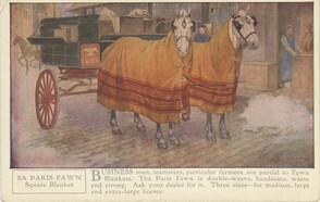 5A Horse Blankets