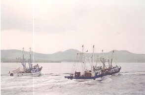 MazatlÃ¡n