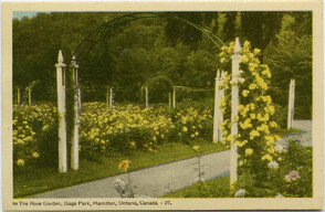 In The Rose Garden, Gage Park, Hamilton, Ontario, Canada. - 27. n.d.