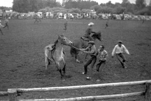 Sundre Stampede Rodeo, Alberta