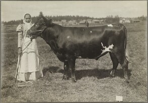 I.K Inha: Finnish Agriculture D2000_48_224