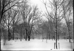 Snow-covered wooded area on the Miami University campus n.d.