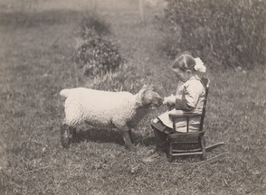 Little girl bottle feeding lamb, 1919