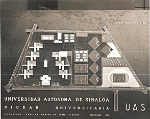 Image (7)
